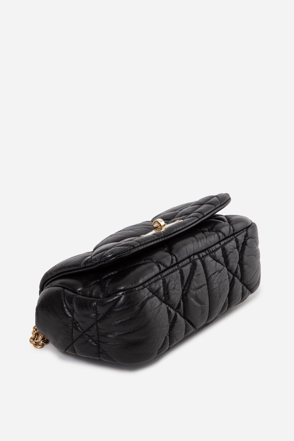 Christian Dior 2012 Mini Milly La Foret Flap Bag