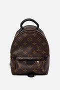 Louis Vuitton 2022 Monogram Palm Springs Mini Backpack