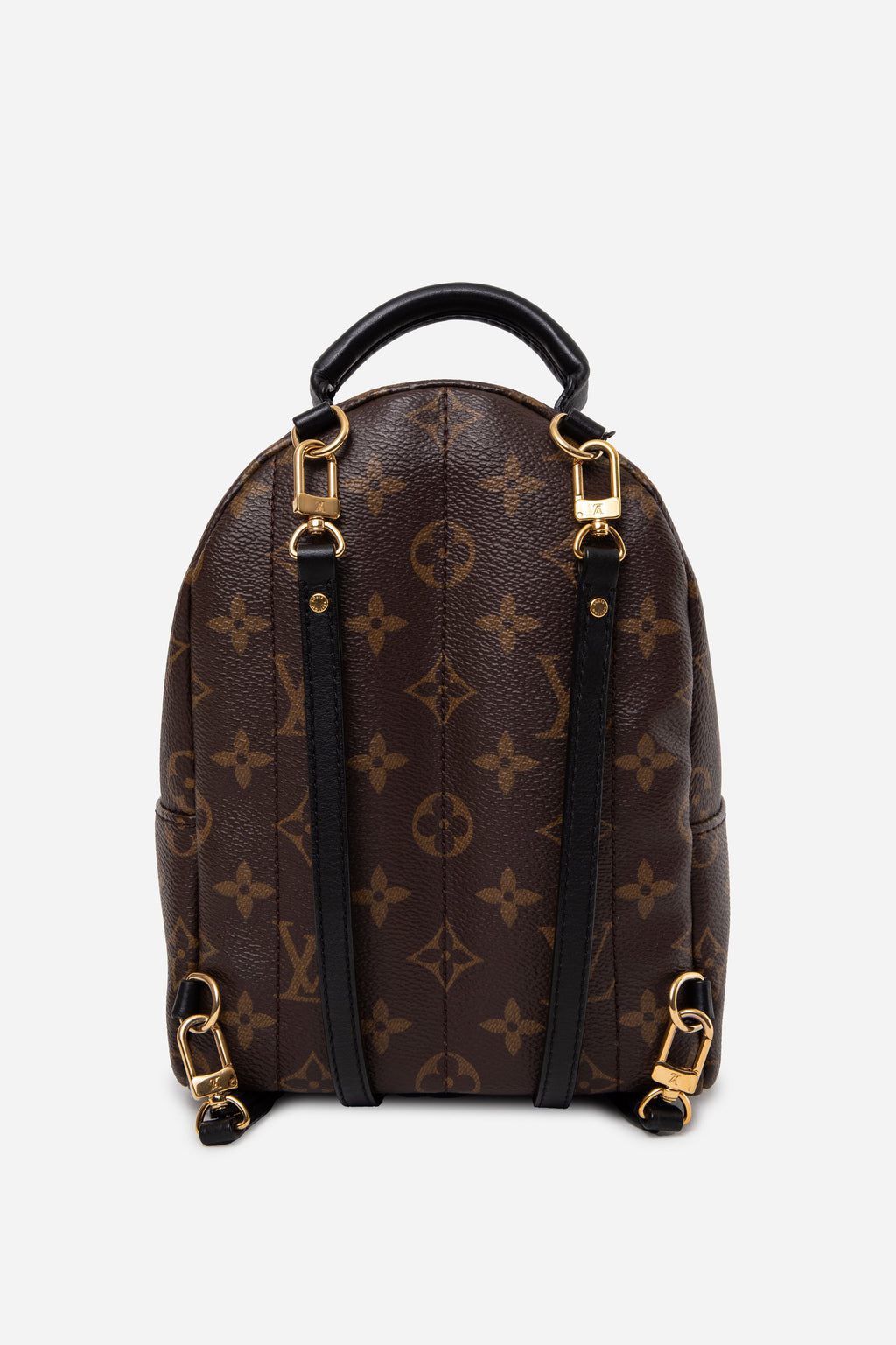 Louis Vuitton 2022 Monogram Palm Springs Mini Backpack