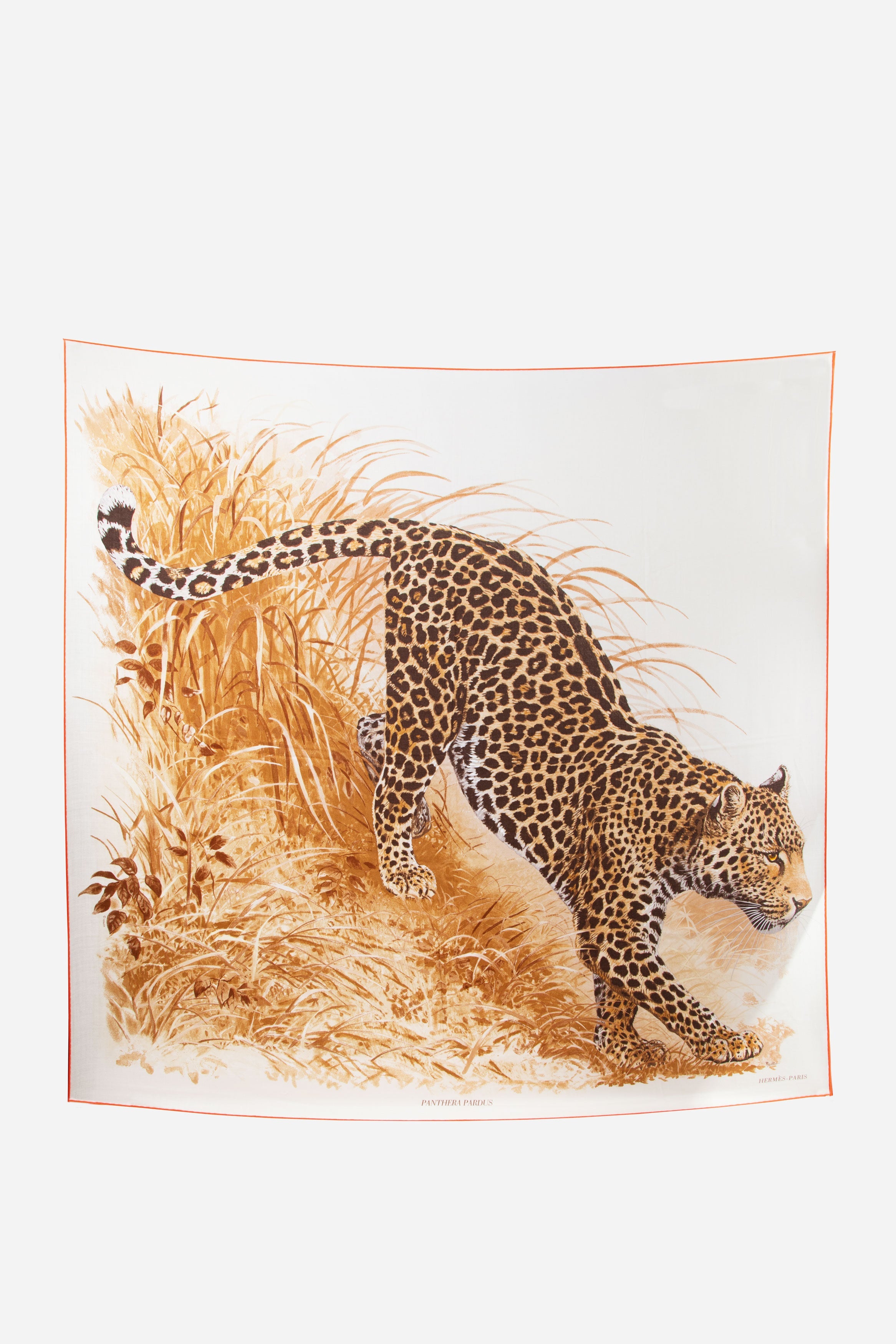 Hermès Cashmere Silk Shawl “Jungle Love Rainbow”
