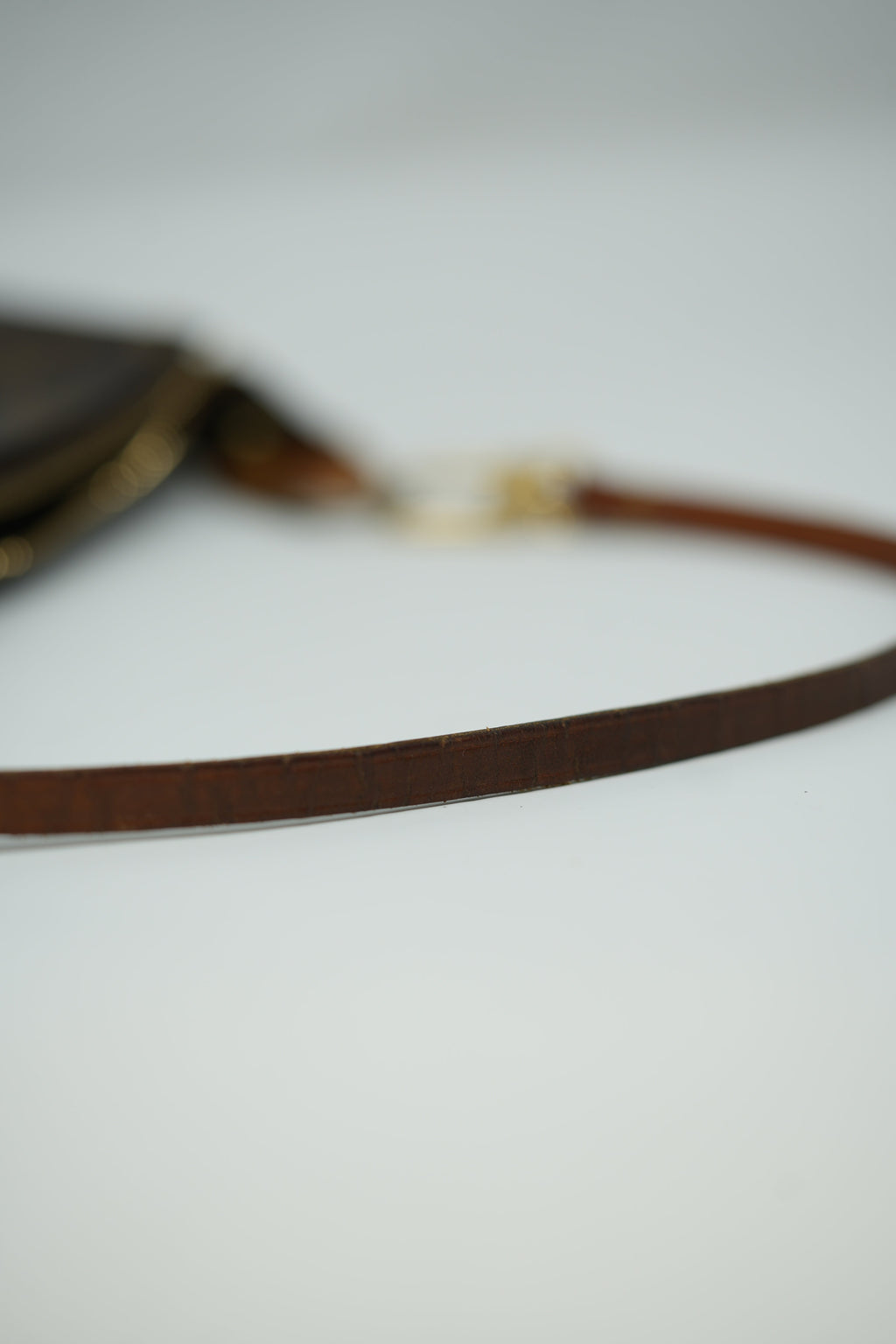 Louis Vuitton Pochette Accessories