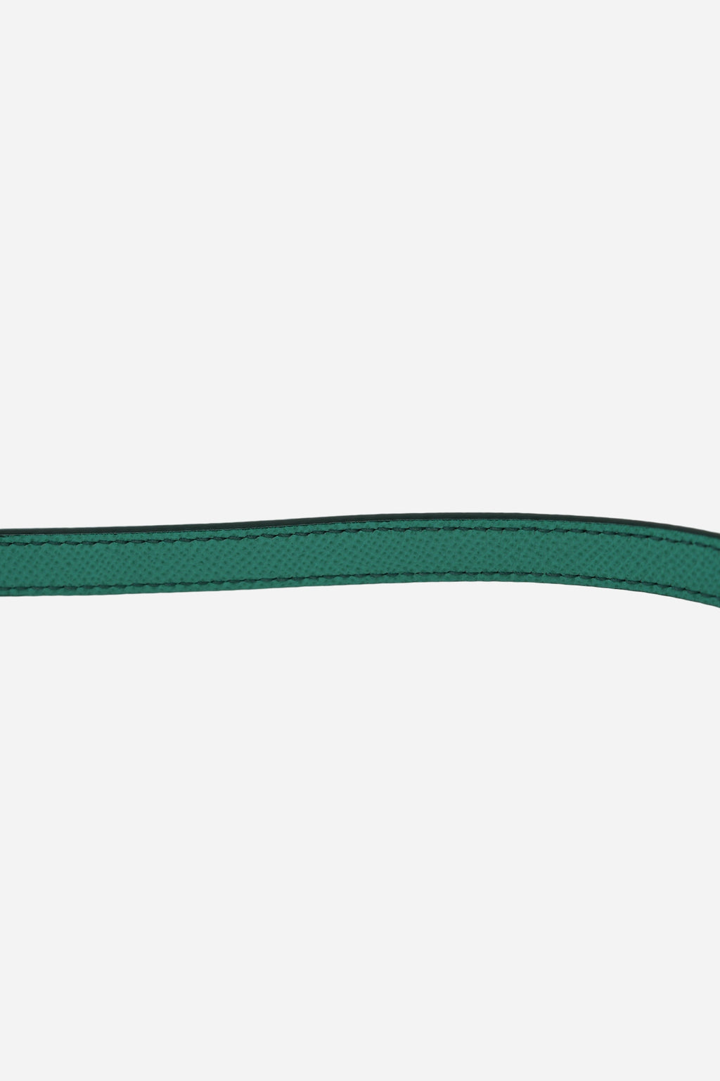 Dolce & Gabbana Green Medium Sicily Handbag