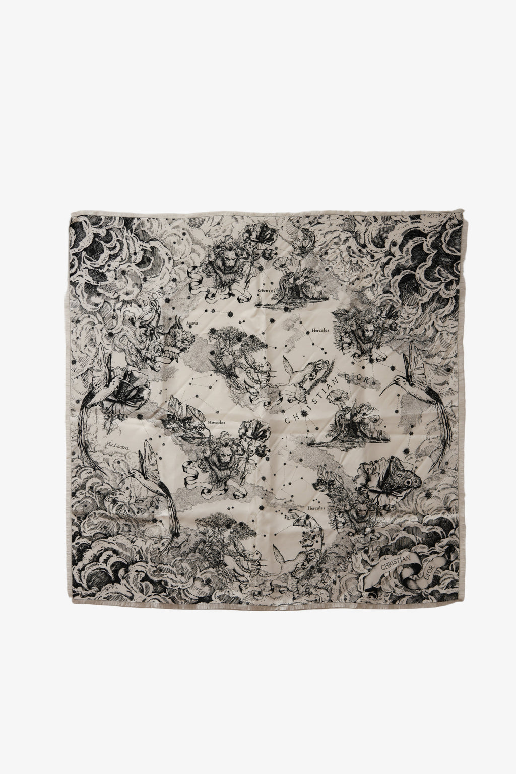 Dior Echarpe en soie Silk Scarf
