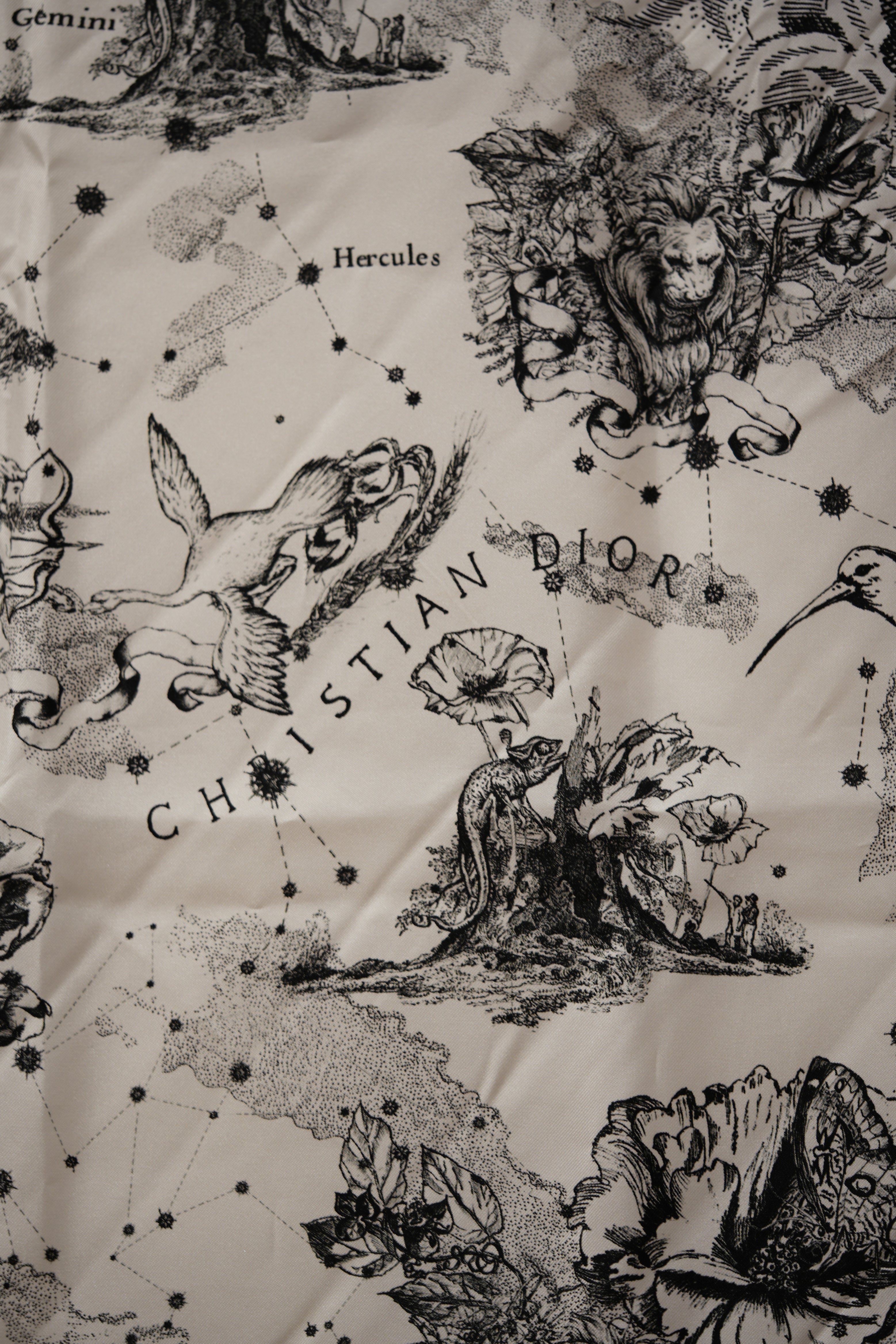 Dior Echarpe en soie Silk Scarf