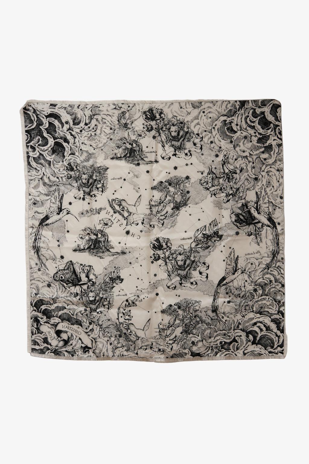 Dior Echarpe en soie Silk Scarf