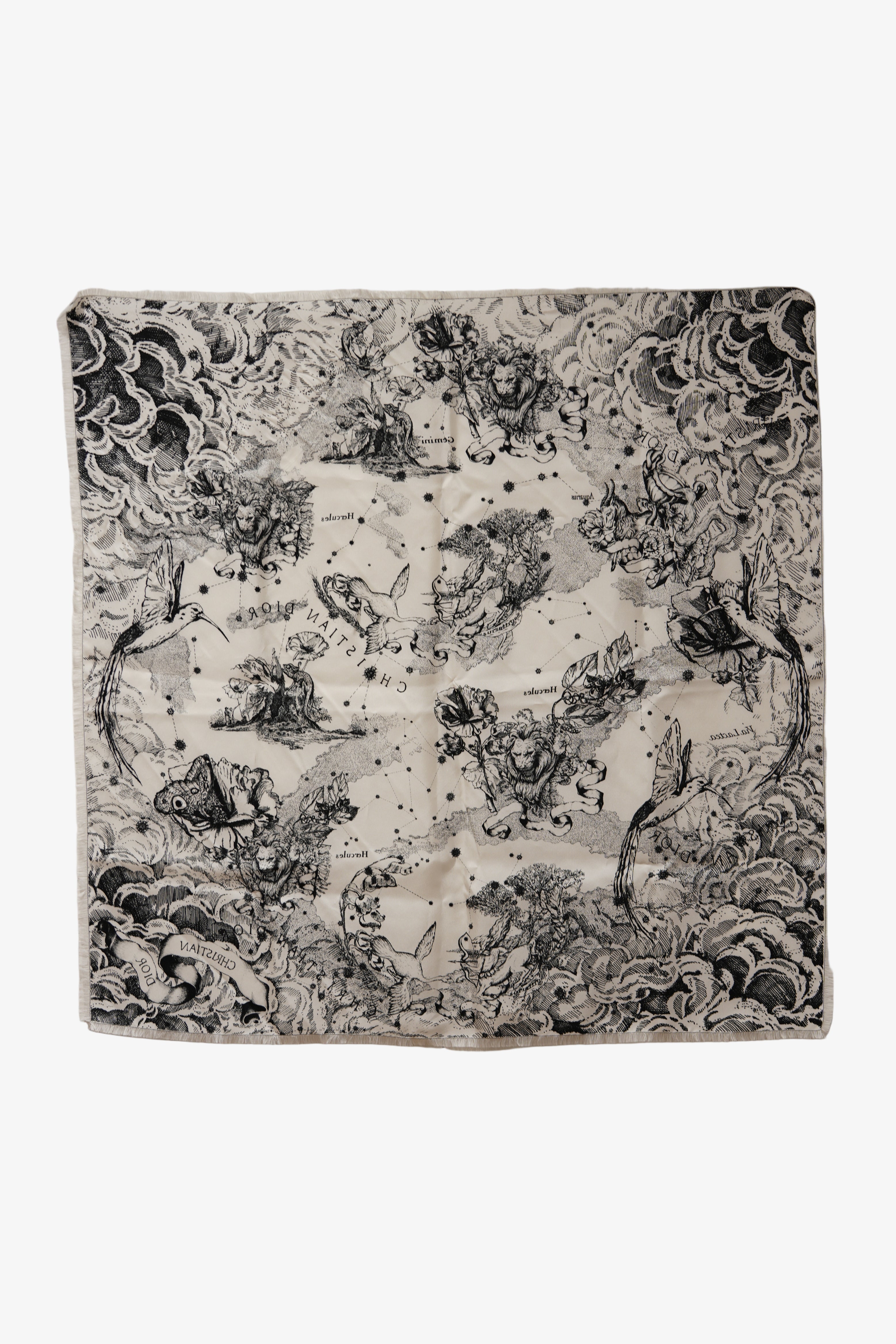 Dior Echarpe en soie Silk Scarf