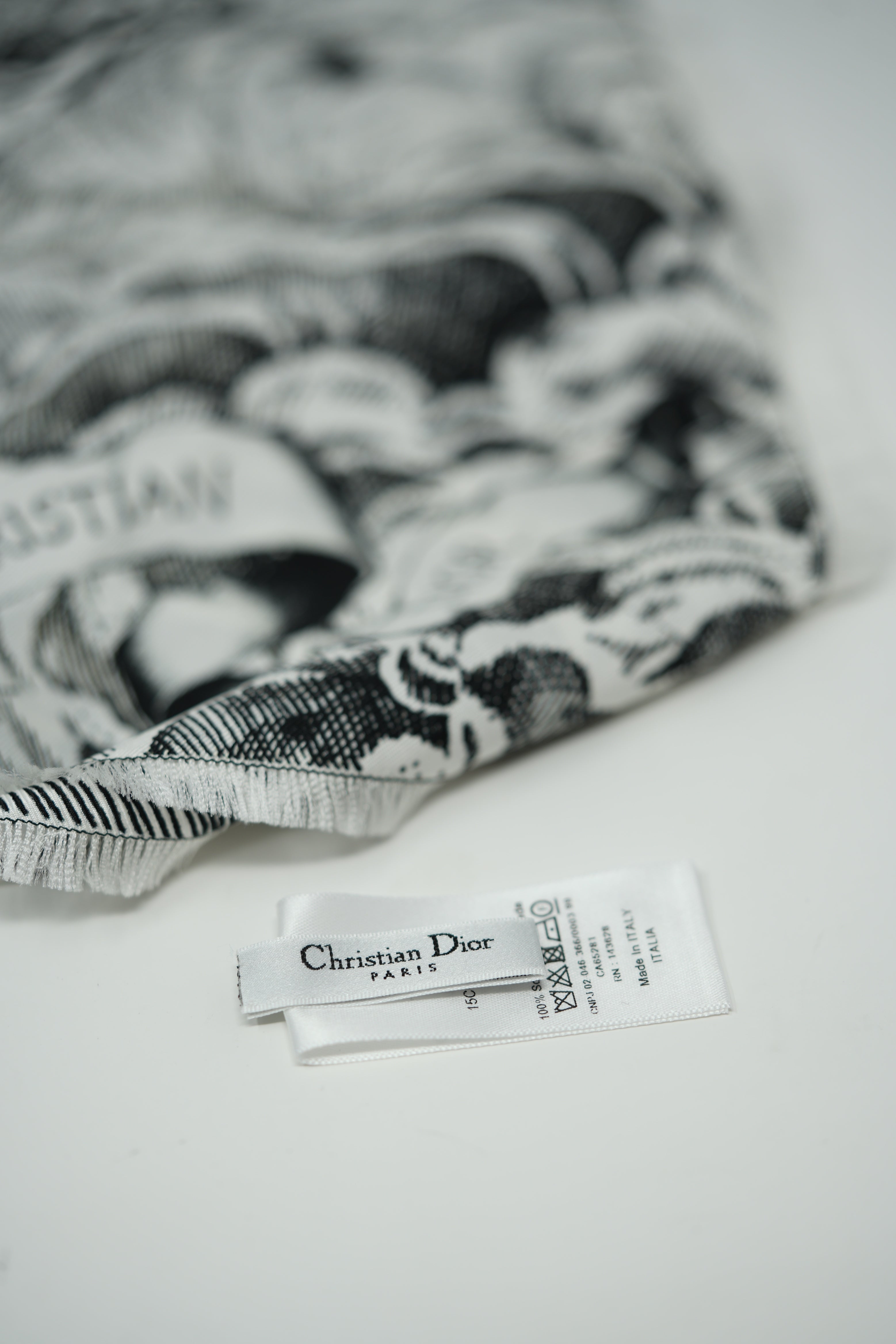 Dior Echarpe en soie Silk Scarf