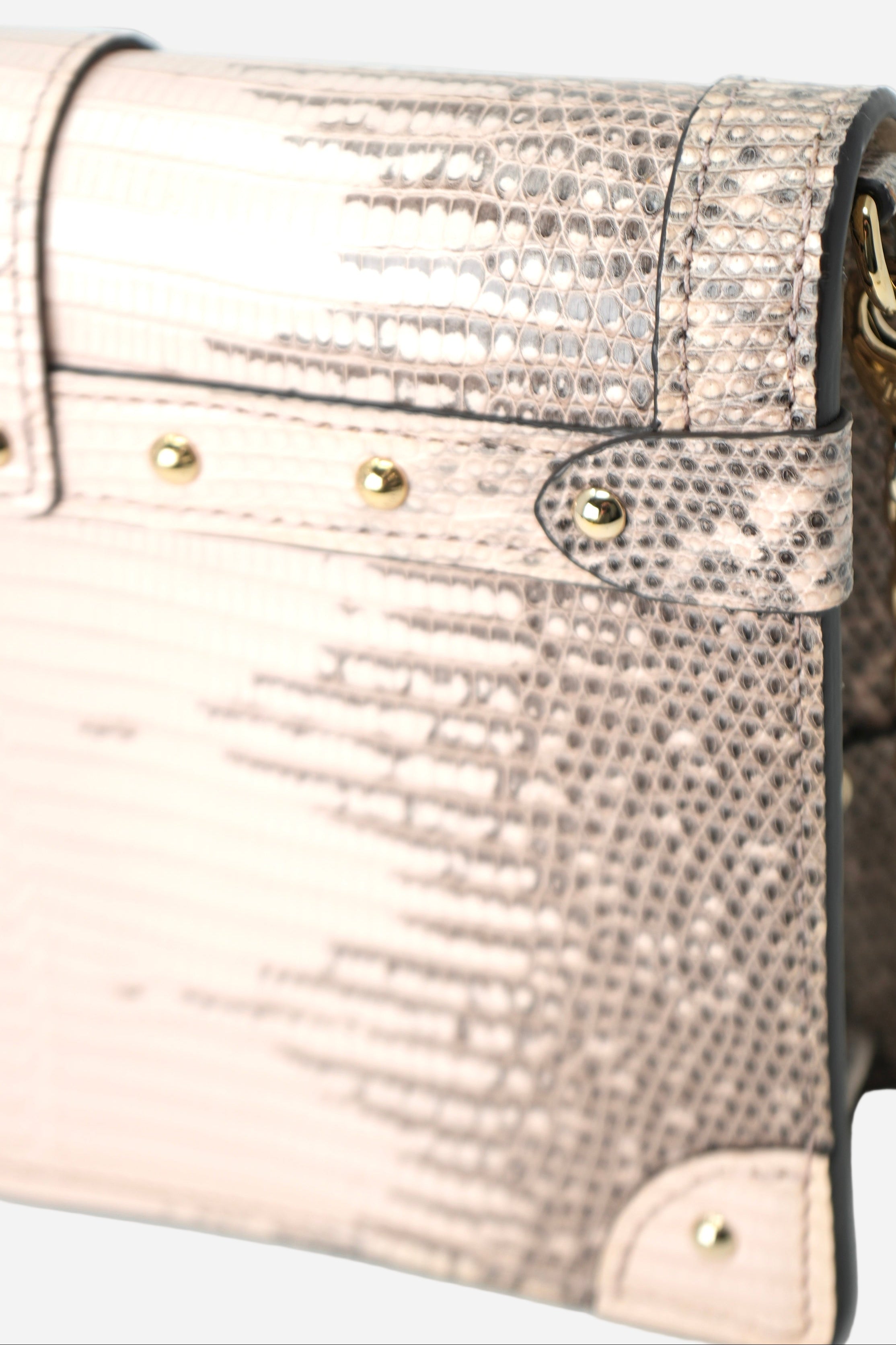 Louis Vuitton Lizard Petite Malle Trunk Chain Wallet