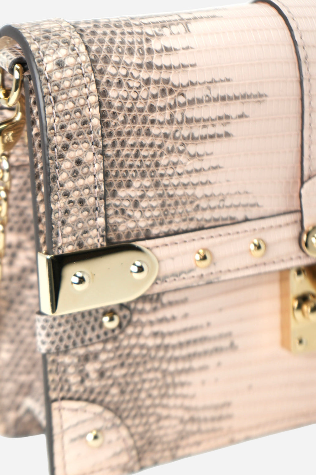 Louis Vuitton Lizard Petite Malle Trunk Chain Wallet