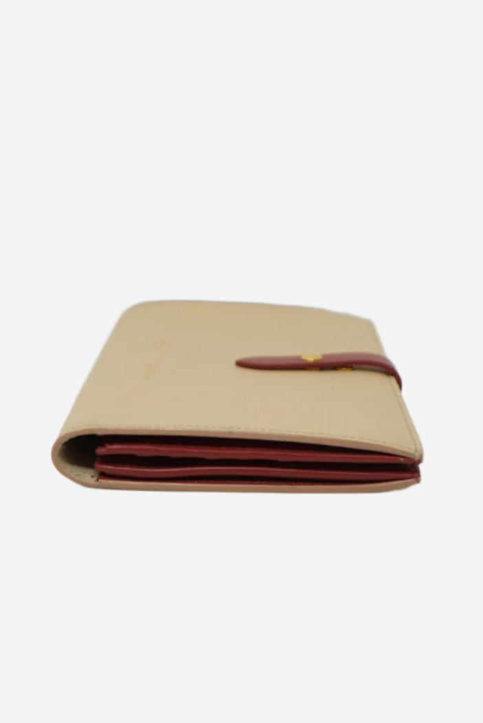 Celine Large Strap Wallet in Bicolor Grained Calfskin