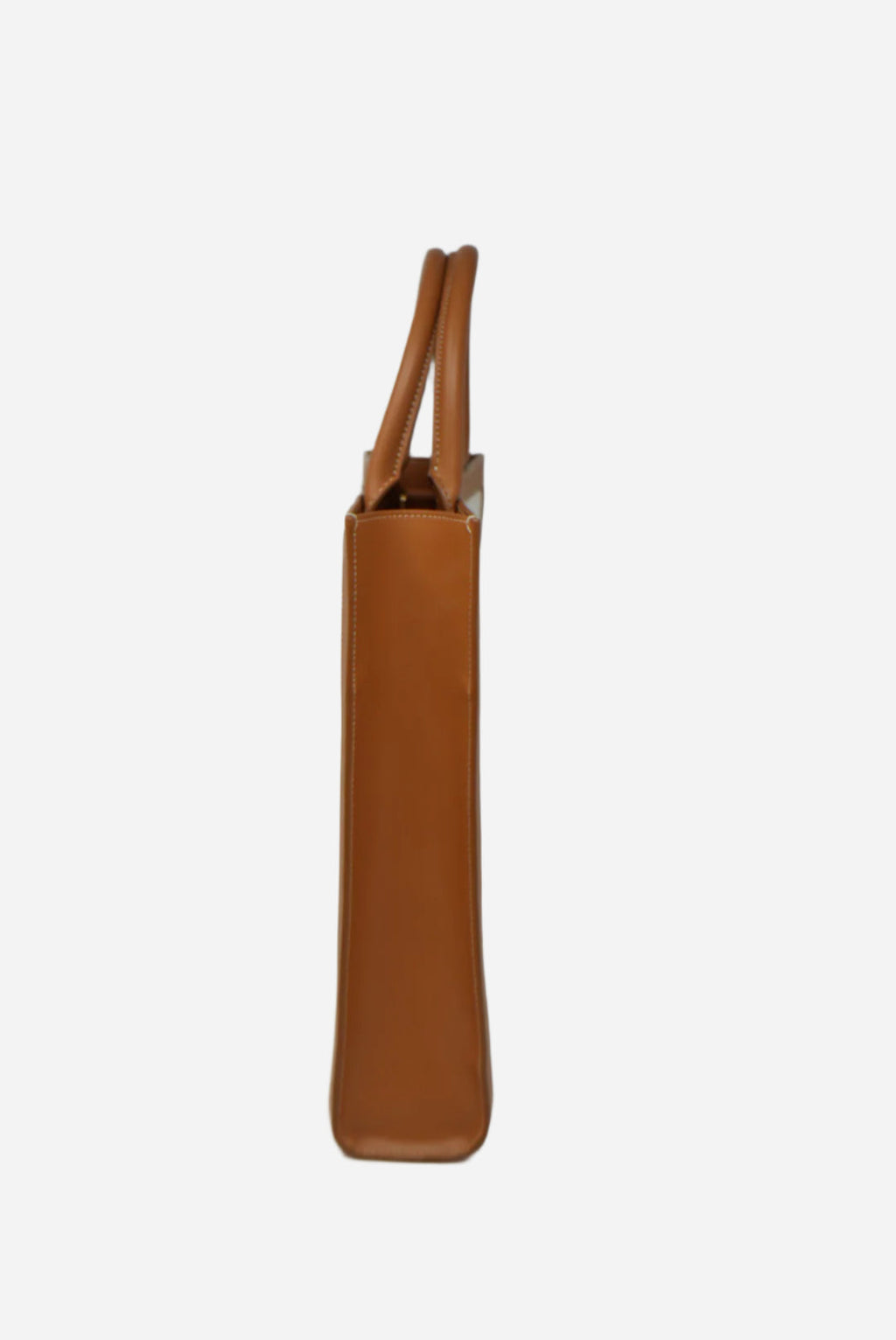 CELINE 2020 Canvas VERTICAL CABAS TOTE BAG