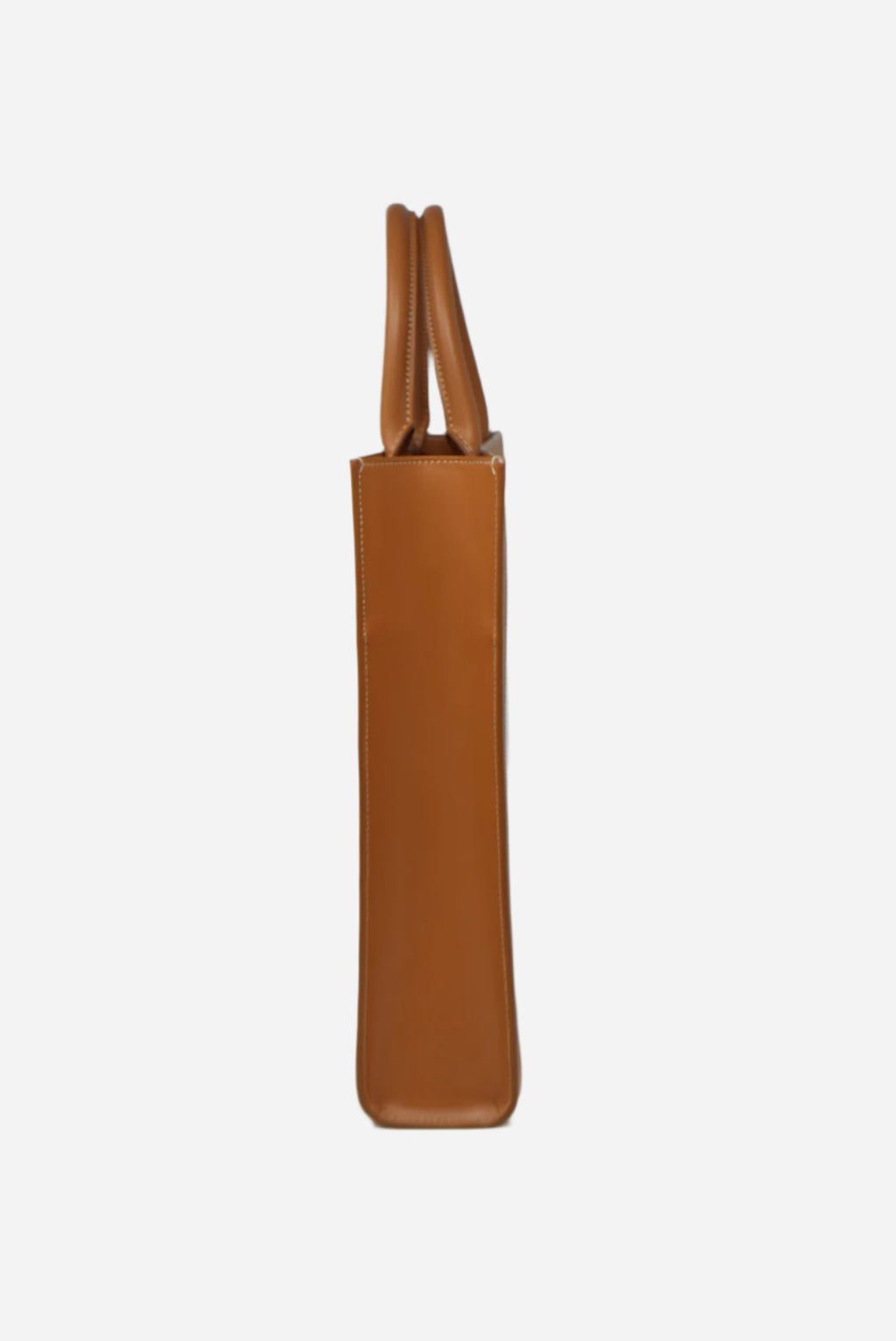 CELINE 2020 Canvas VERTICAL CABAS TOTE BAG