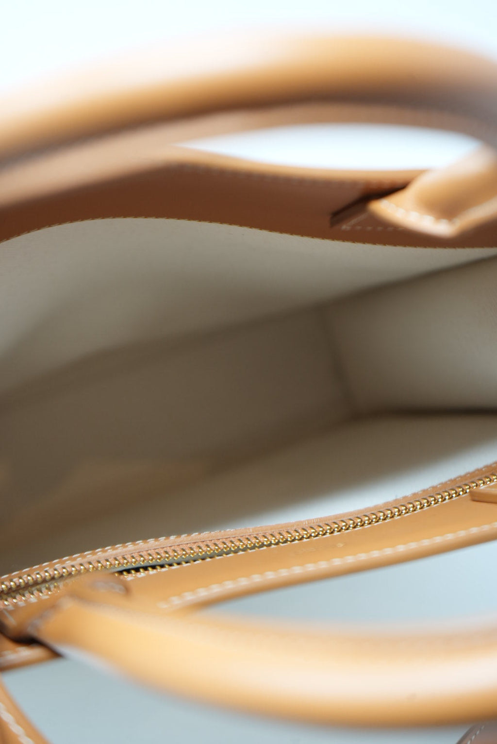 CELINE 2020 Canvas VERTICAL CABAS TOTE BAG